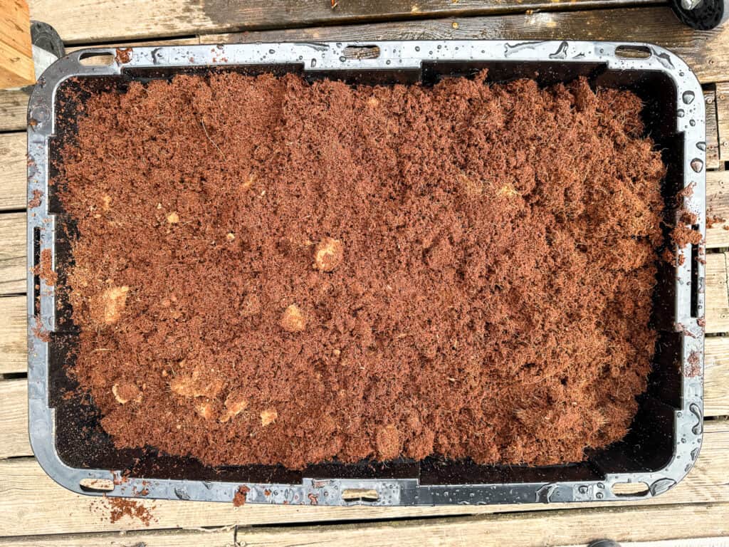 coconut coir