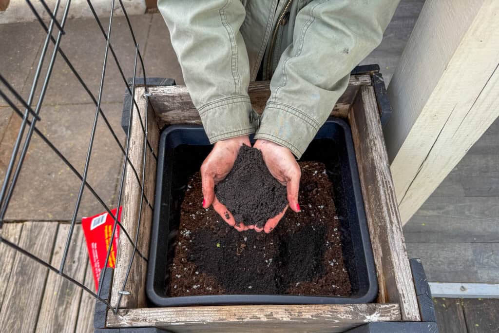 worm castings compost