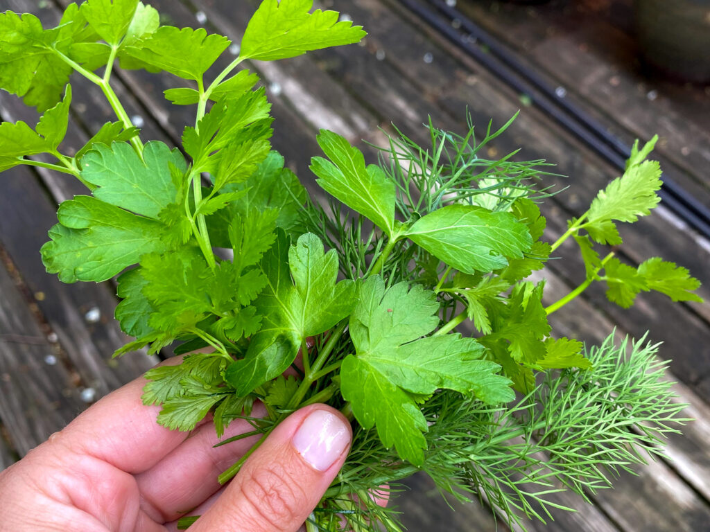 herbs