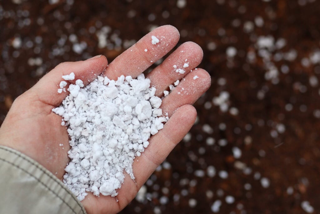 perlite in a hand